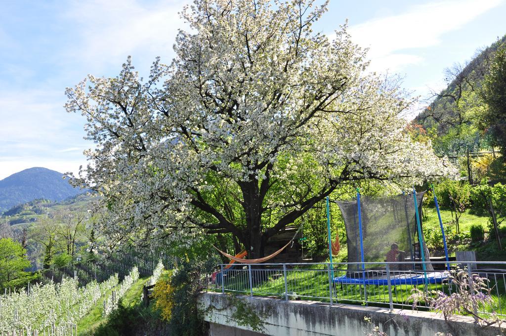 Apartament Unterbrunnerhof Lana Zewnętrze zdjęcie